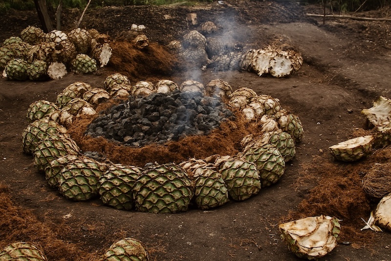 Mezcal Palenque
