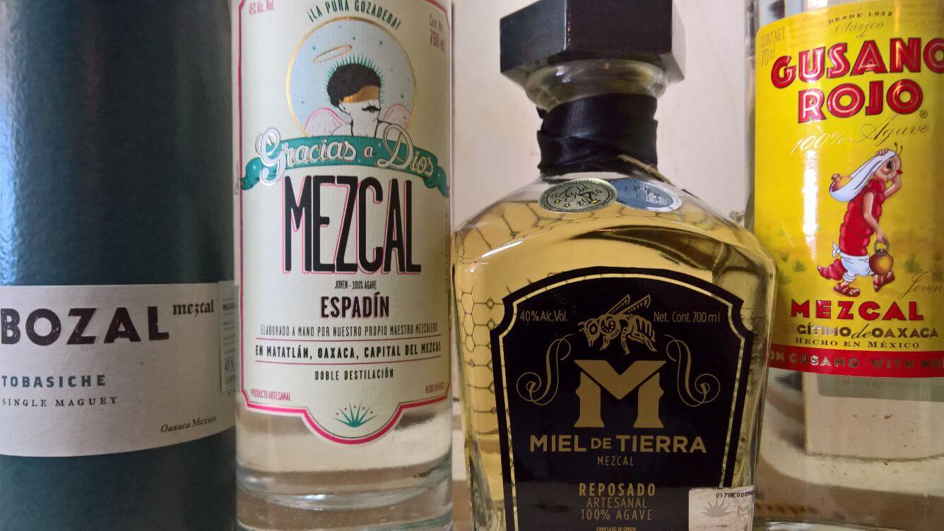 Die Produktion von Mezcal in sieben Schritten